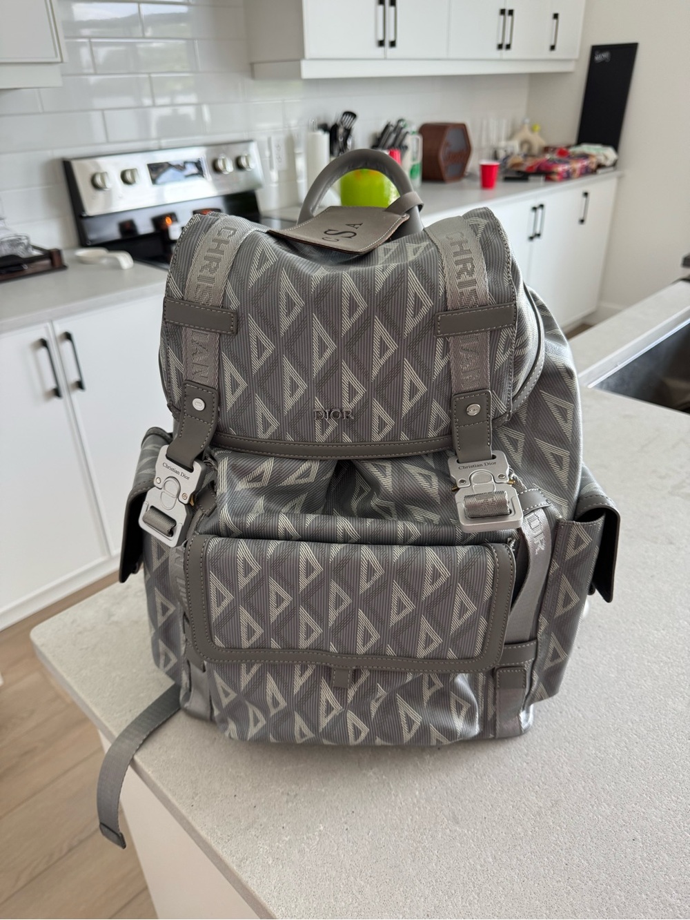Dior Hit The Road Gray Monogram Canvas Men's Backpack